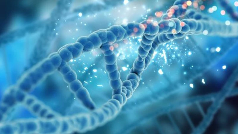 Bioglutide NA-931 Cellular Regeneration | Shaanxi BLOOM Tech Co., Ltd Bioglutide NA-931 Cellular Regeneration | Shaanxi BLOOM Tech Co., Ltd
