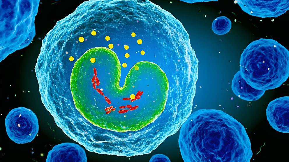 Semaglutide Drug | Shaanxi BLOOM Tech Co., Ltd Semaglutide Drug | Shaanxi BLOOM Tech Co., Ltd